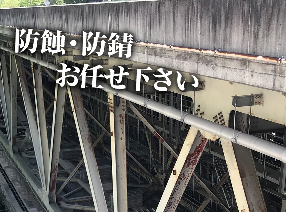 集合写真